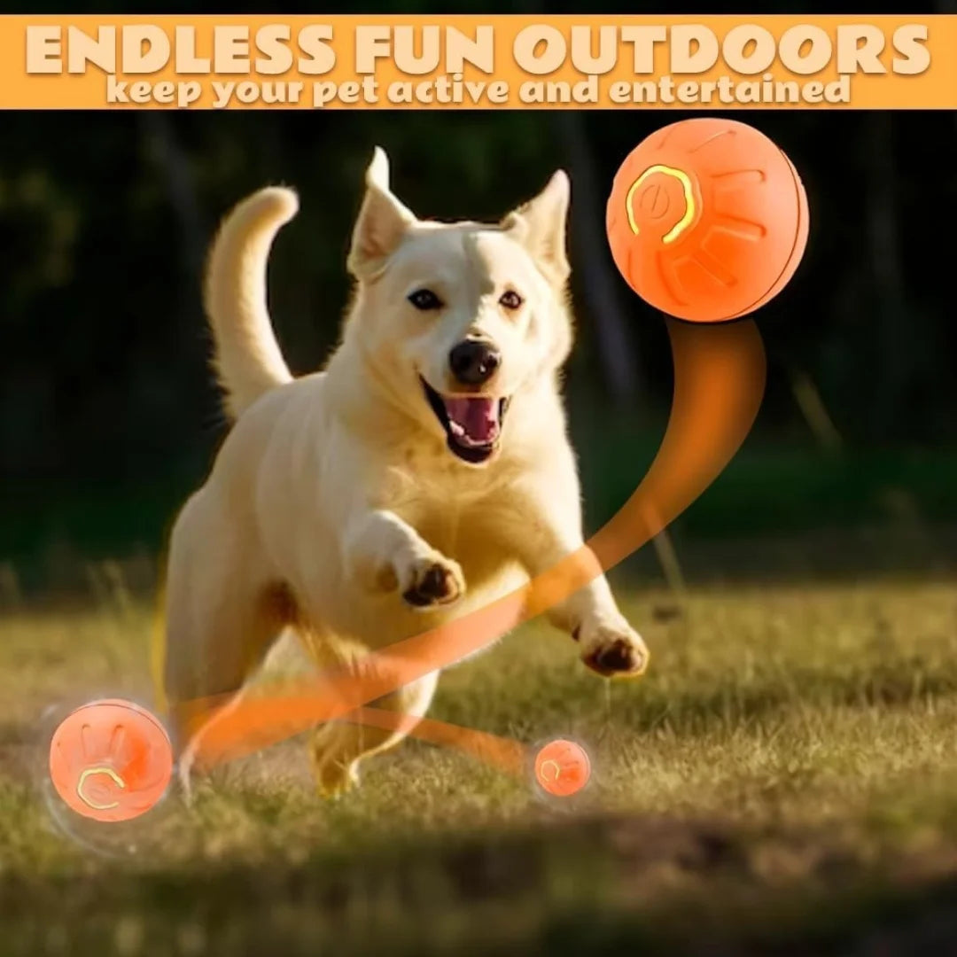 Gravity Electric Pet Ball