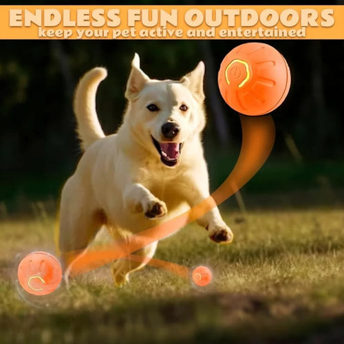 Gravity Electric Pet Ball