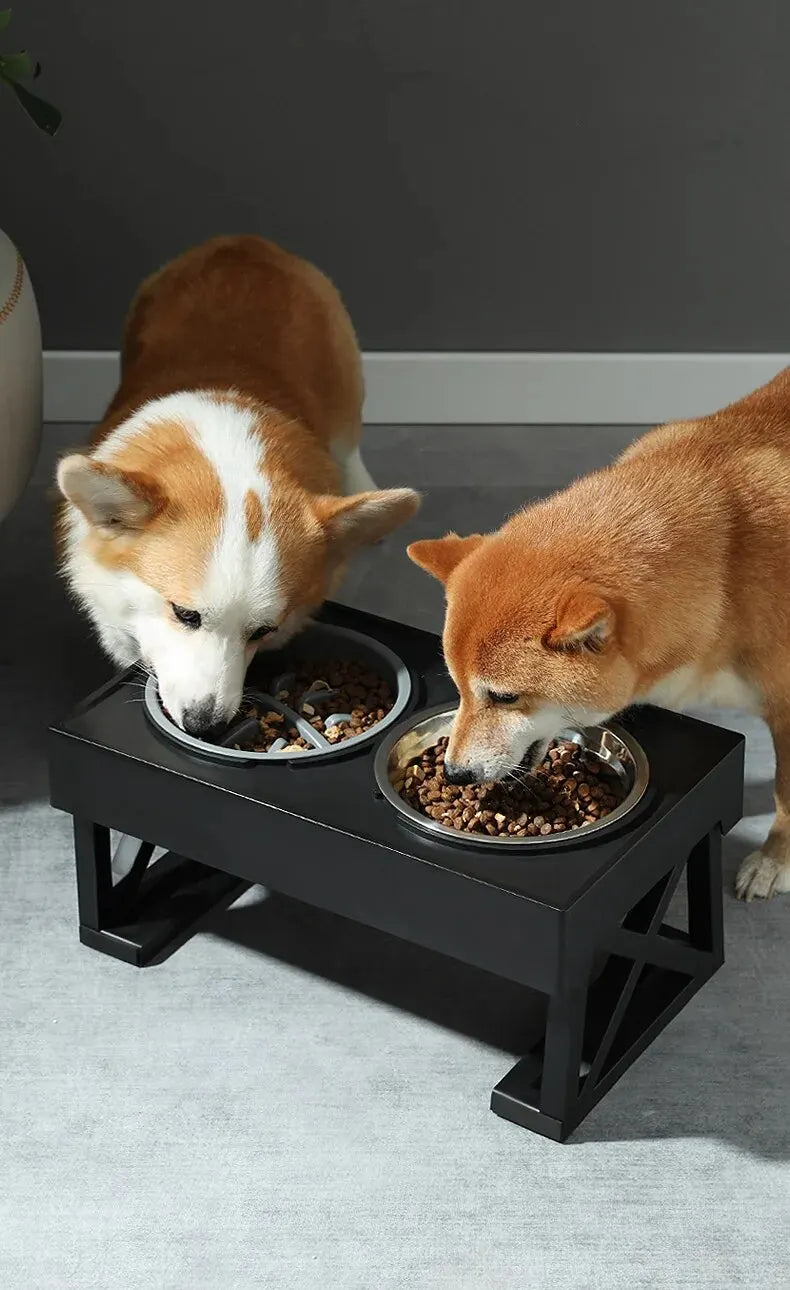 Ergonomic Pet Bowls