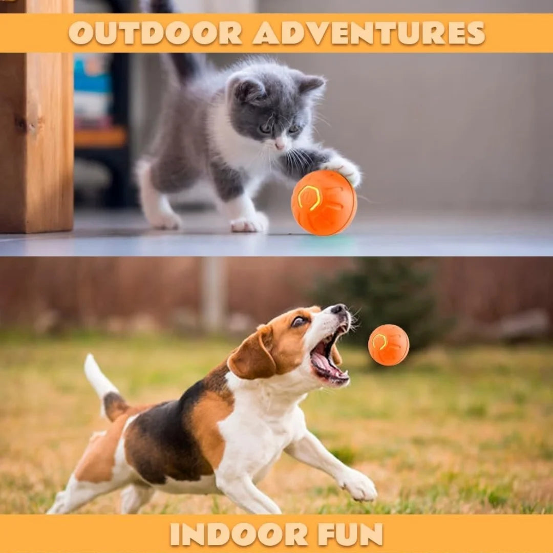 Gravity Electric Pet Ball