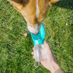 Portable Pet Drinking Bottle