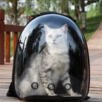 Space Capsule Backpack