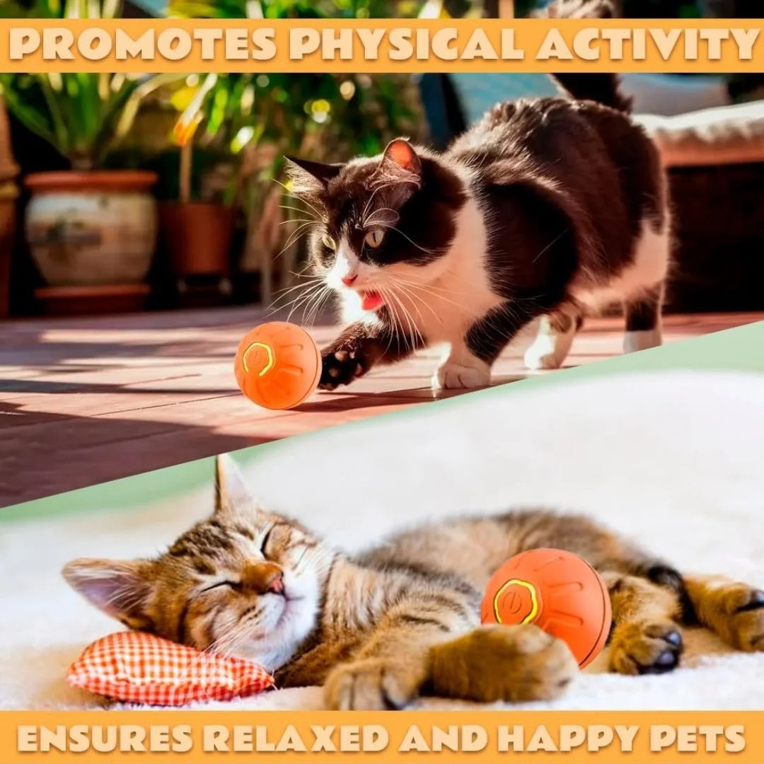 Gravity Electric Pet Ball