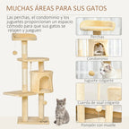 Cat Adventure Tree