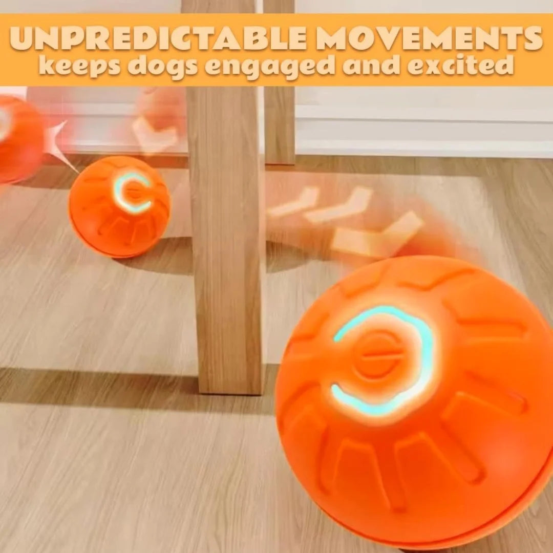Gravity Electric Pet Ball