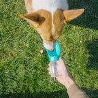 Portable Pet Drinking Bottle