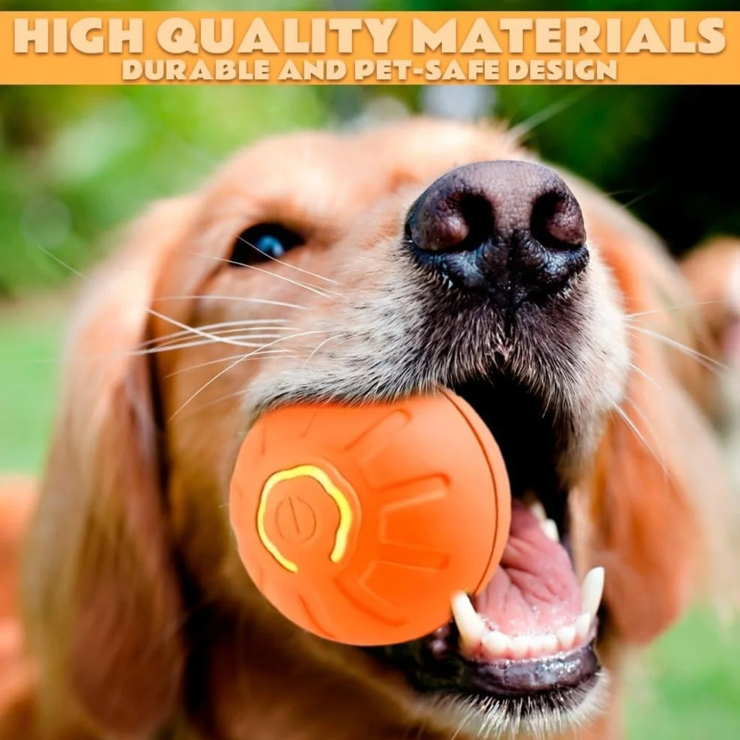 Gravity Electric Pet Ball