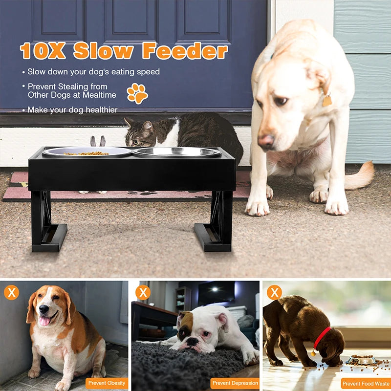 Ergonomic Pet Bowls